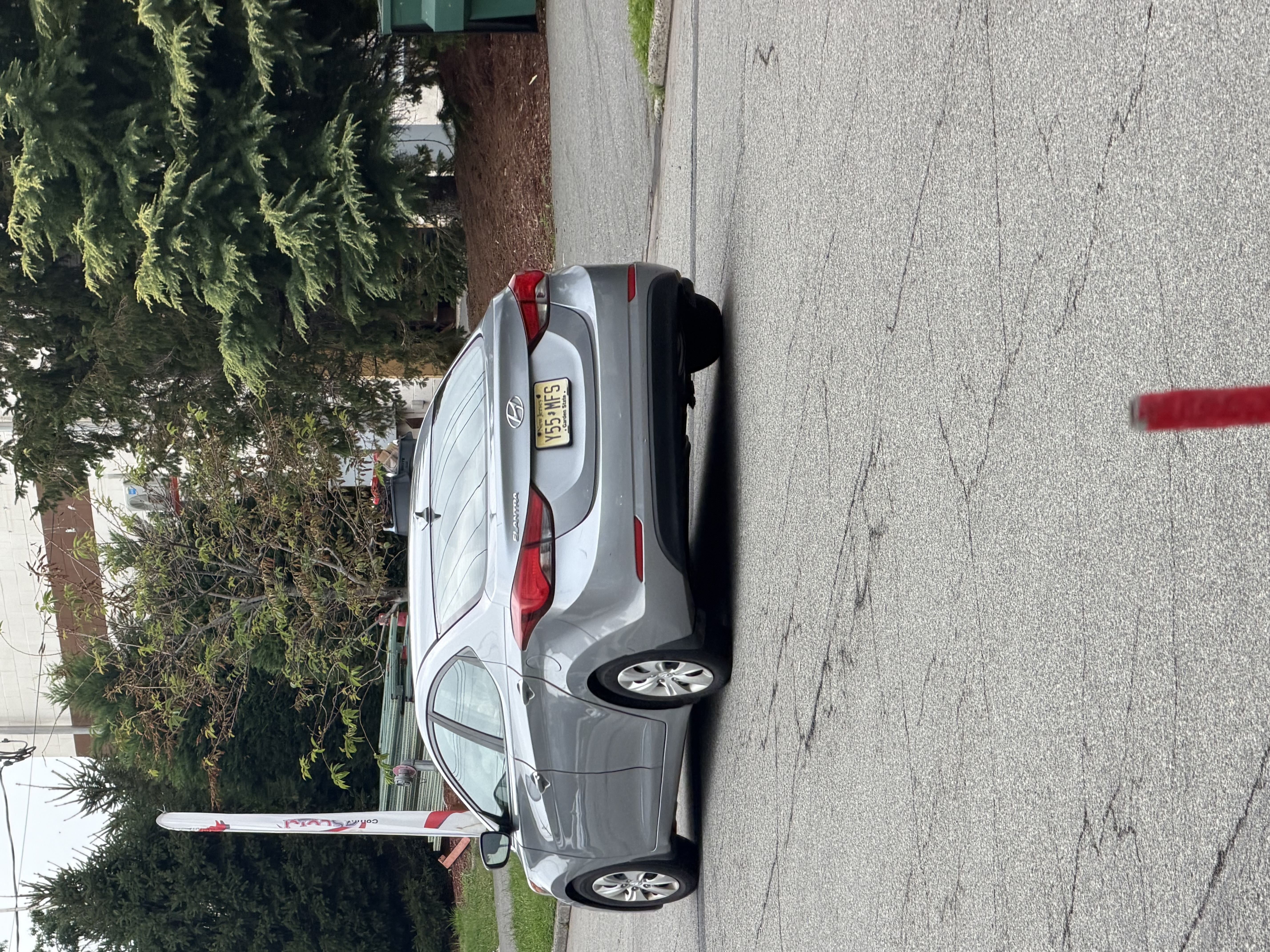 IMG_6321.jpeg